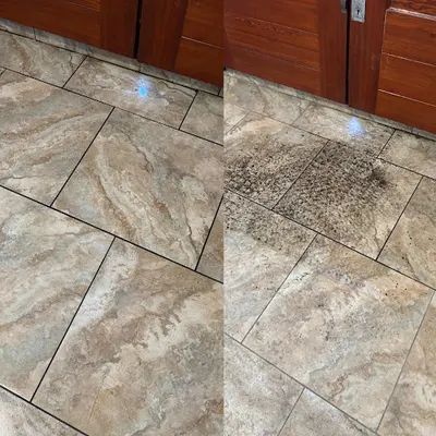 Express Clean Paulina Siwek Firma sprzątająca Jelenia Góra